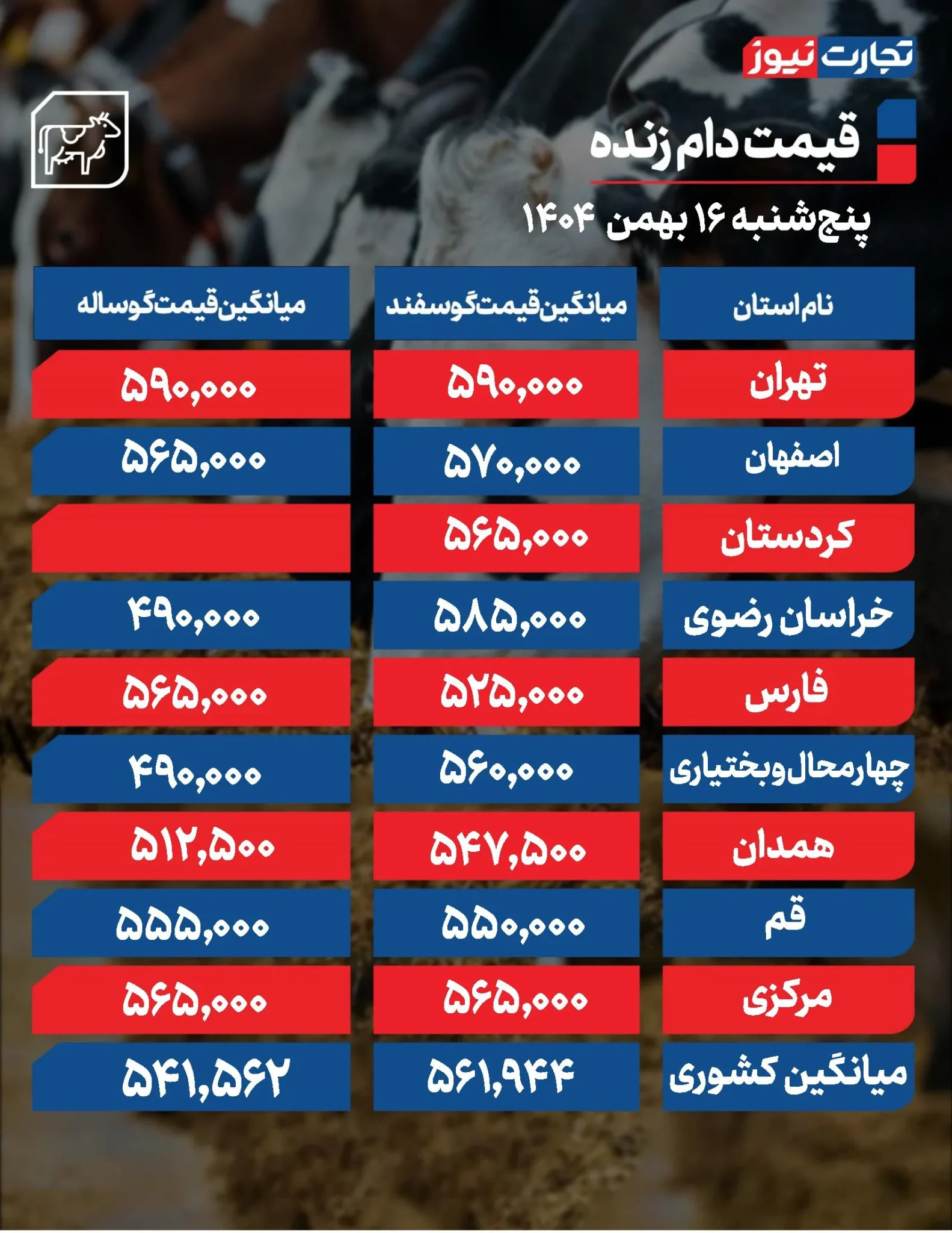 قیمت دام قفل شد؛ گوسفند و گوساله تکان نخوردند!