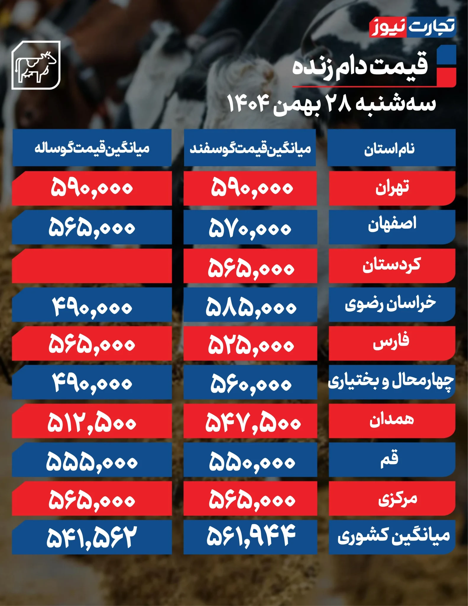 دام زنده گران‌تر می‌شود؟ اعلام رسمی قیمت‌ها در ۲۸ بهمن