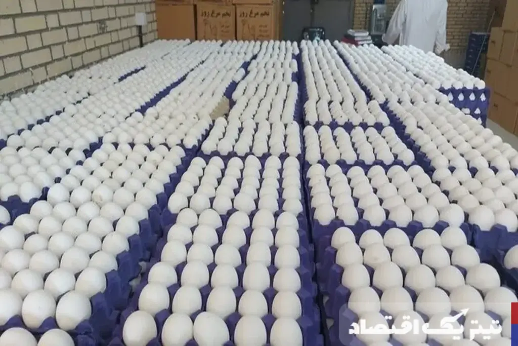 هشدار درباره آینده بازار تخم‌مرغ؛ از مازاد تولید تا واردات ناگزیر