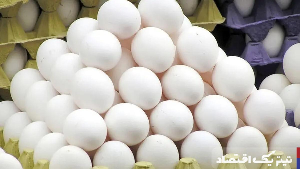 بحران در بازار تخم مرغ/ زیان روزانه صنعت مرغ تخمگذار به 140 میلیارد دلار رسید