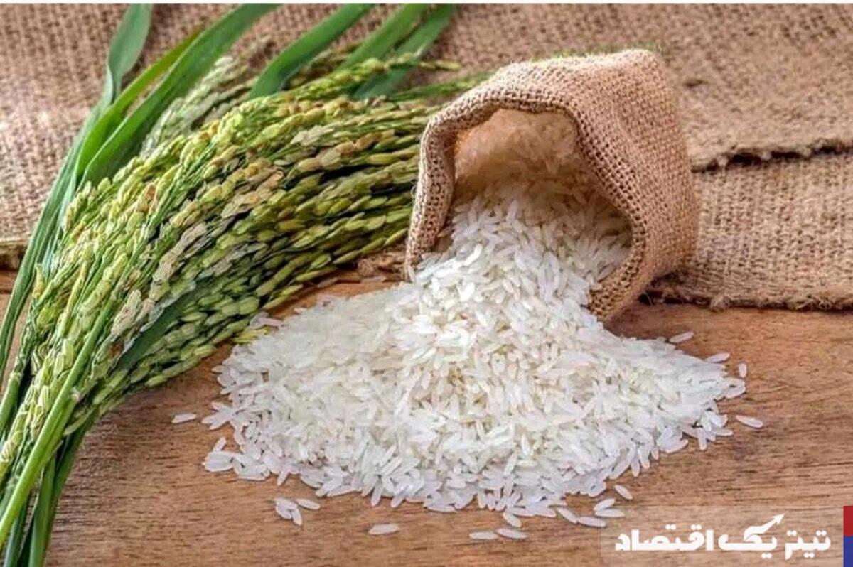 قیمت برنج ایرانی امروز ۱۸ اردیبهشت ۱۴۰۴ + جدول