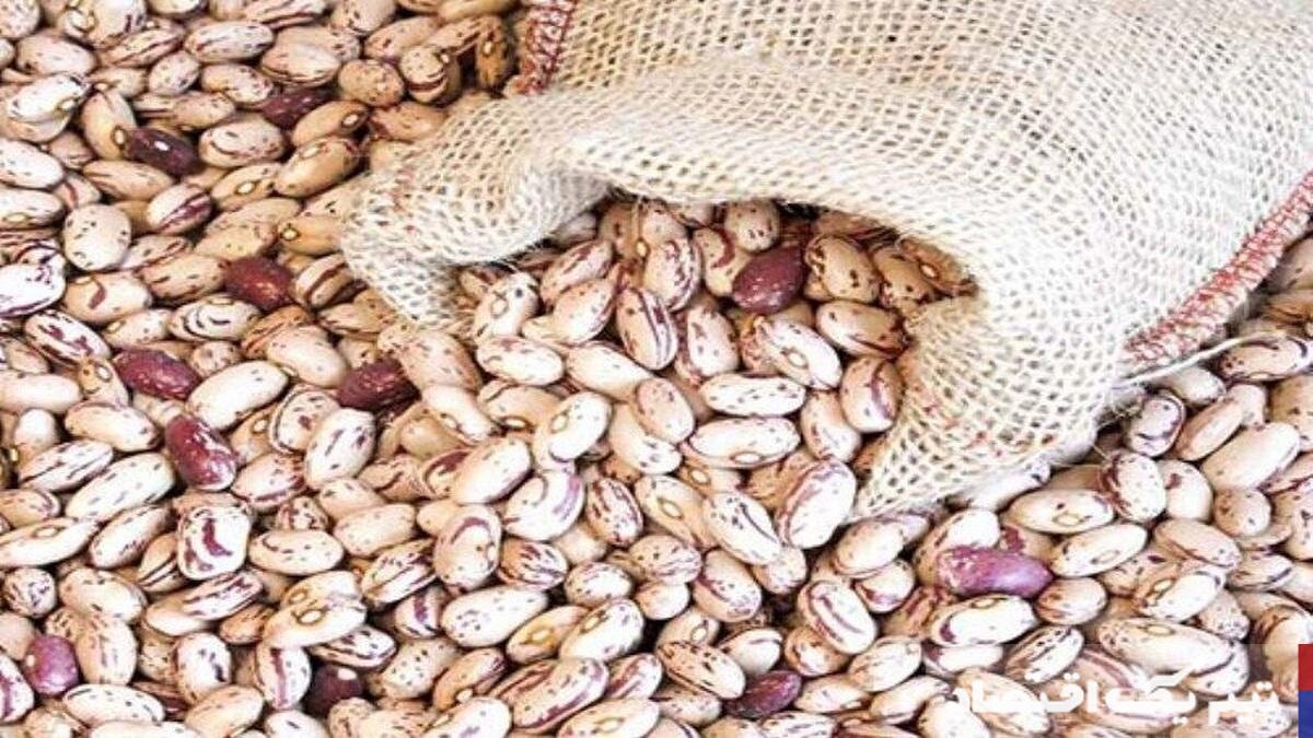 قیمت لوبیا چیتی به ۳۲۰ هزارتومان رسید