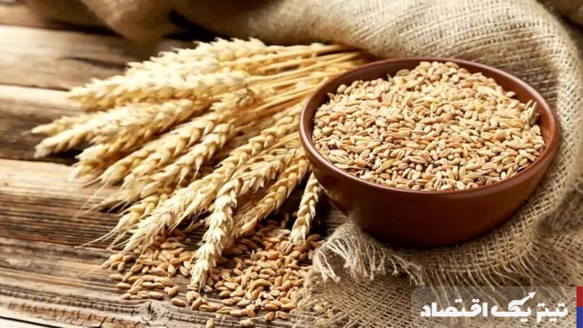 قیمت خرید تضمینی گندم ۲۰ هزار و ۵۰۰ تومان تصویب شد