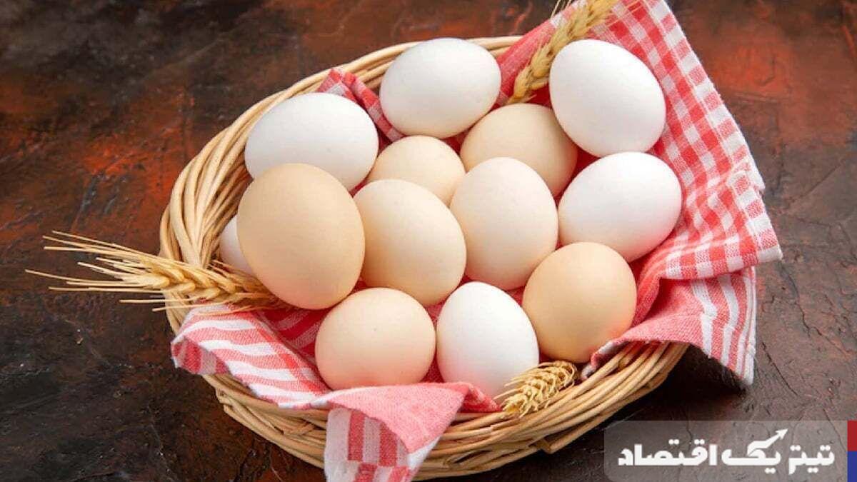 قیمت جدید تخممرغ اعلام شد