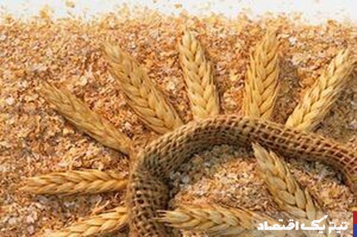 قیمت جدید سبوس گندم مصوب شد