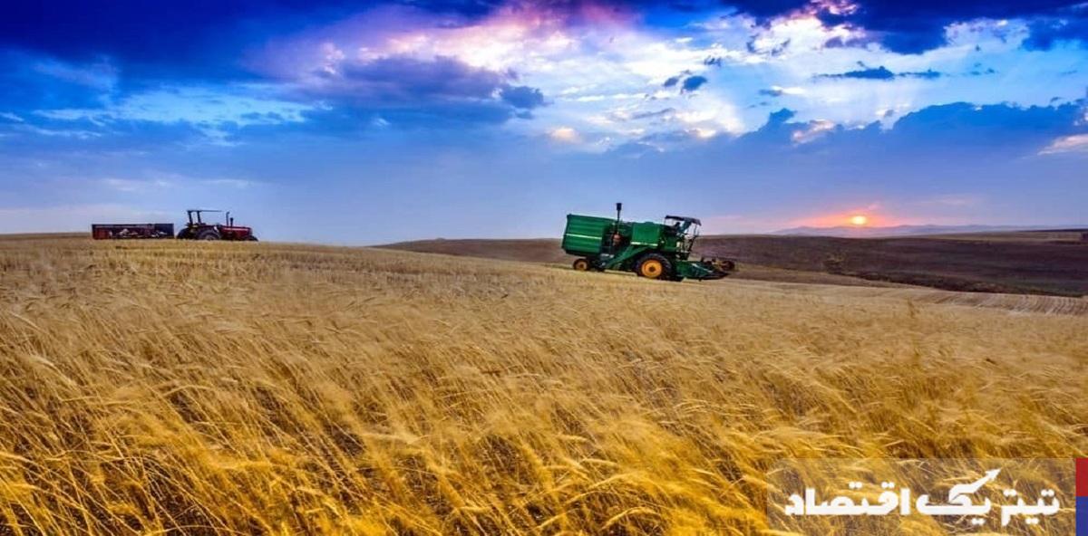 قیمت خرید تضمینی گندم اصلاح میشود؟