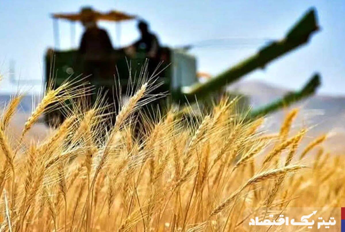 اصلاح قیمت خرید تضمینی گندم خواسته به حق کشاورزان است / وقتی از کشاورز حمایت نمیکنیم برای واردکنندگان رانت فراهم میشود