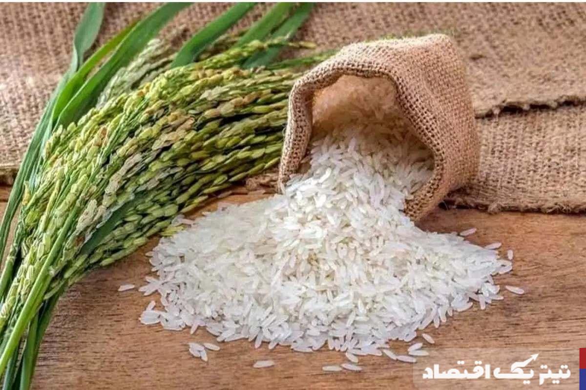 وضعیت قرمز در بازار برنج/ منتظر برنج ۳۰۰ هزار تومانی باشیم؟