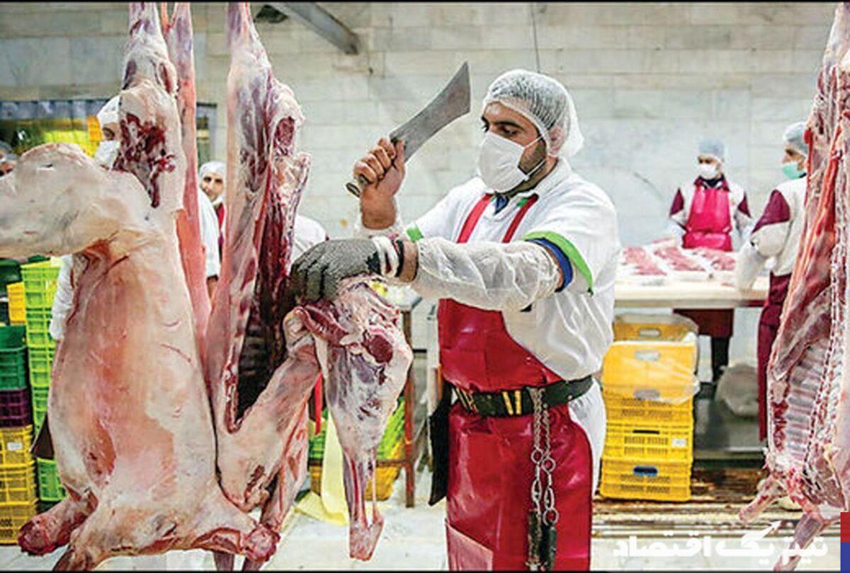 تنها ۵ درصد گوشت گرم گوسفندی وارد میشود