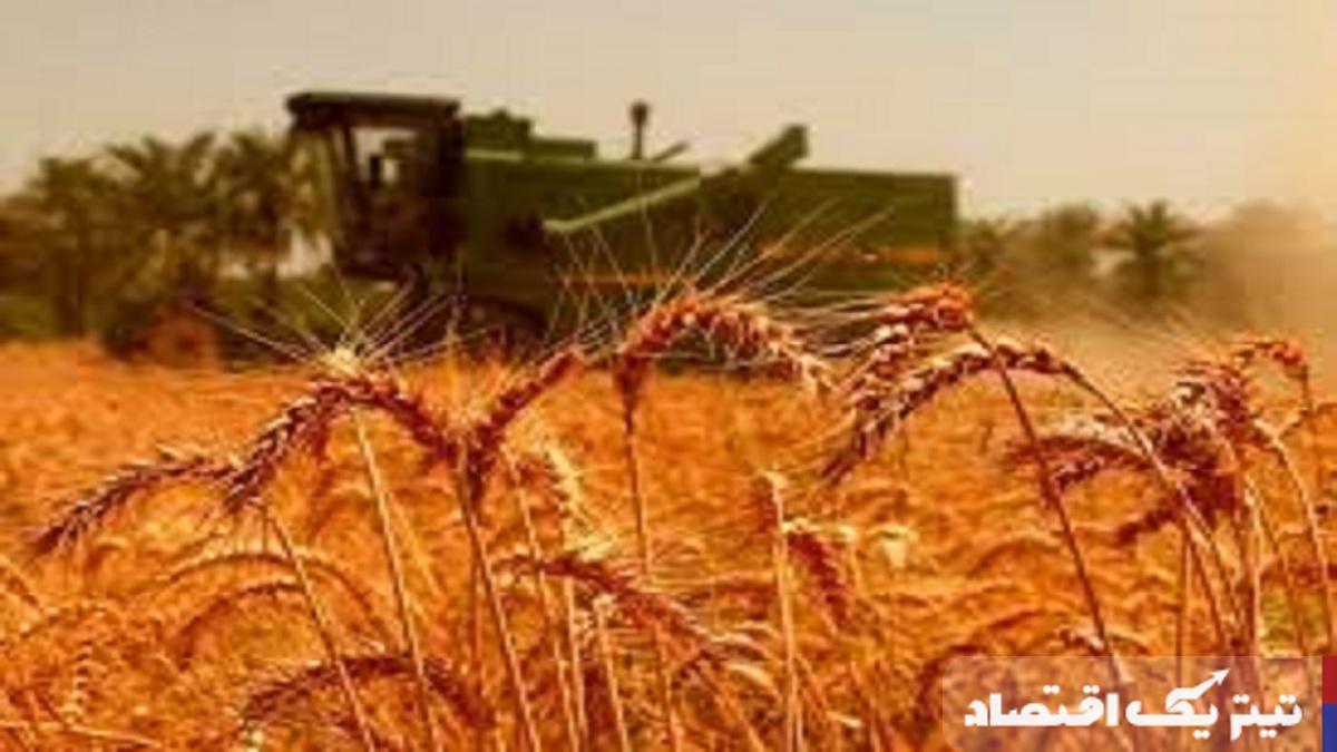 مطالبات گندمکاران به زودی پرداخت میشود