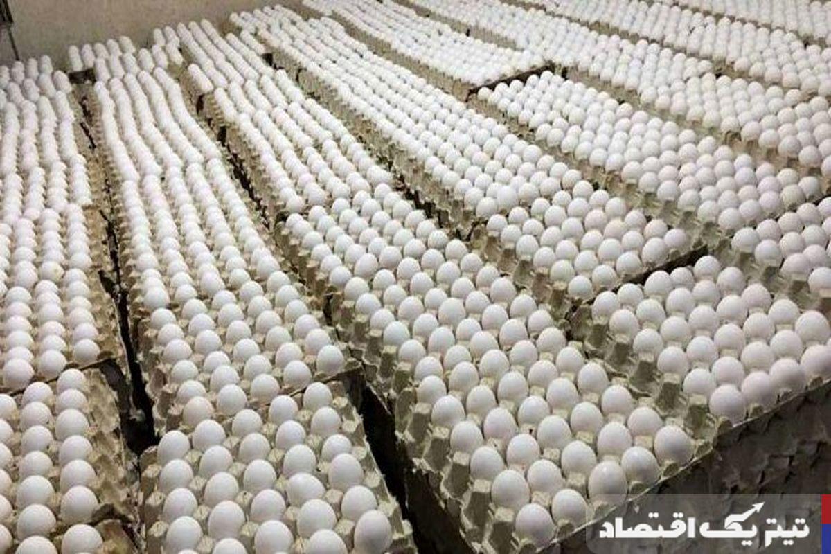 قیمت تخممرغ امروز ۶ خرداد ۱۴۰۴ + جدول