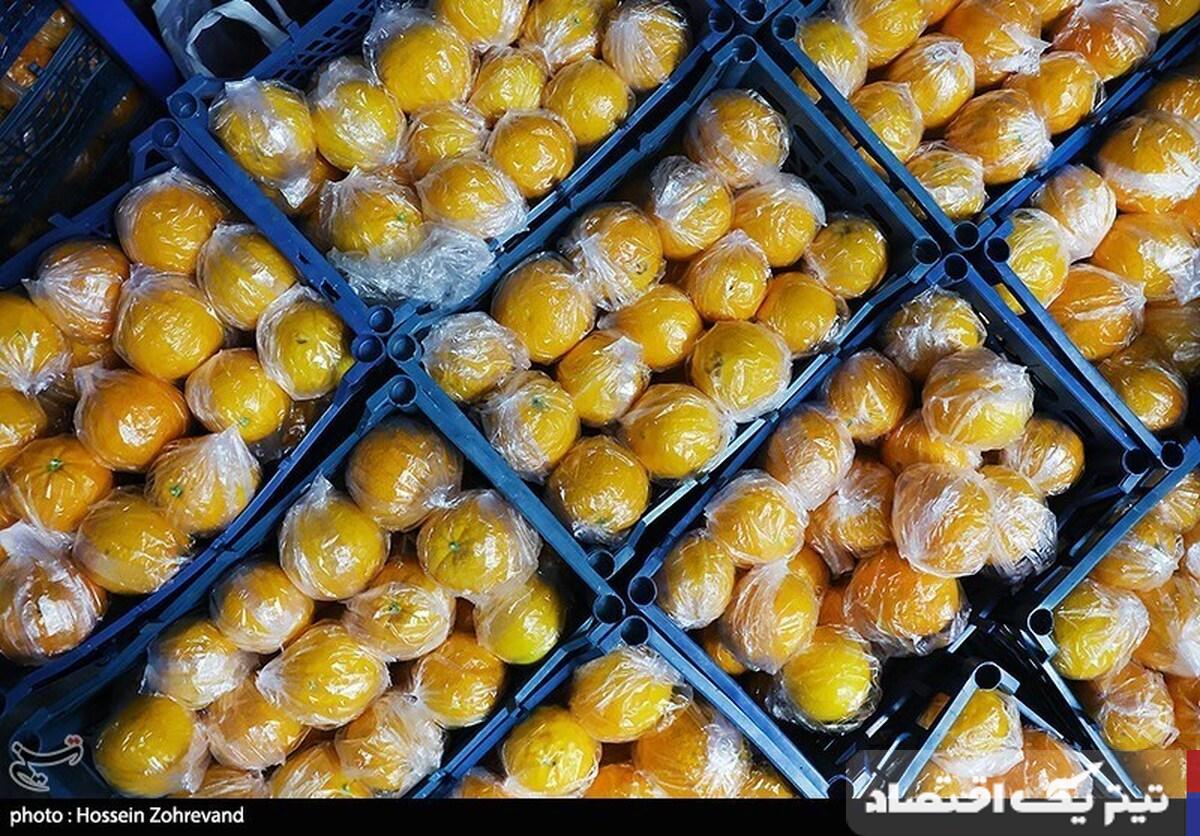 قیمت عمده فروشی میوه و صیفی در تهران اعلام شد
