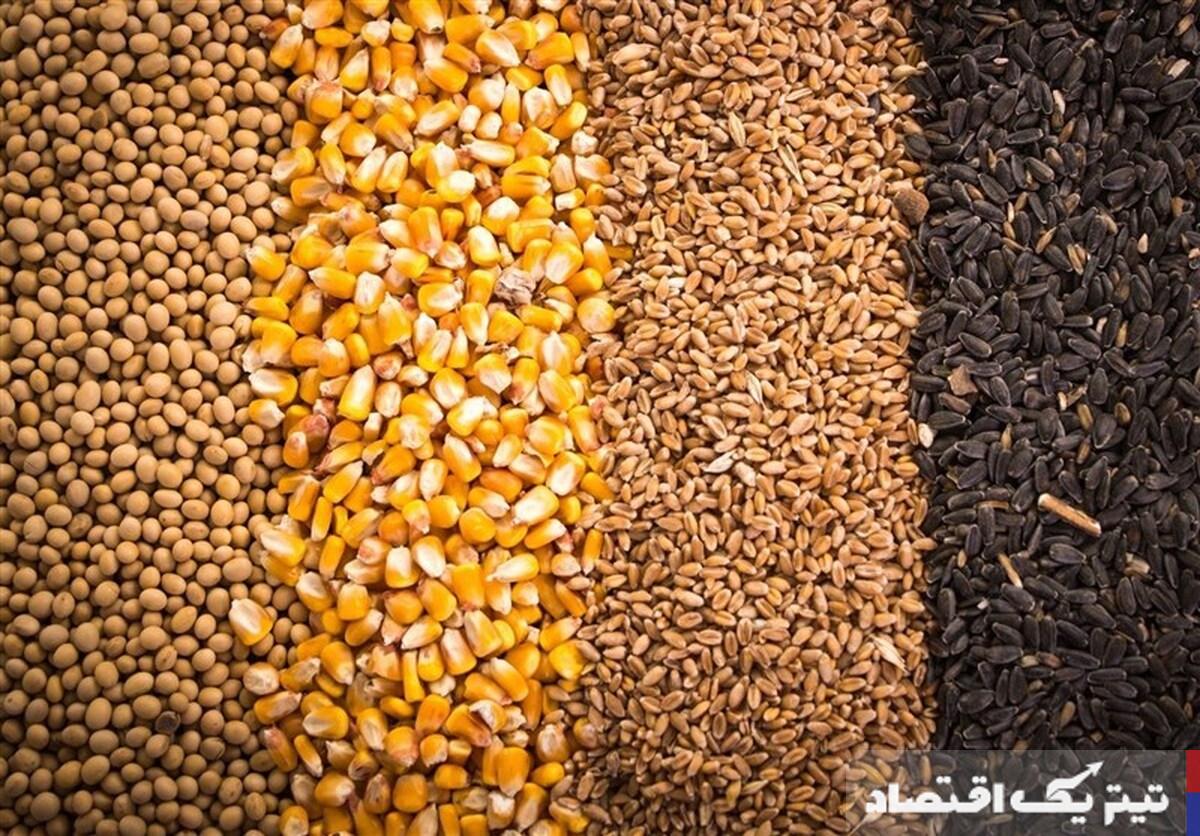 آغاز ثبت سفارش واردات جو و ذرت از روزهای آینده