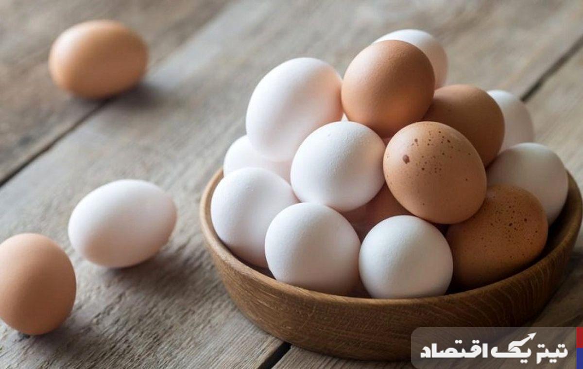 قیمت انواع تخم مرغ در بازار امروز اعلام شد