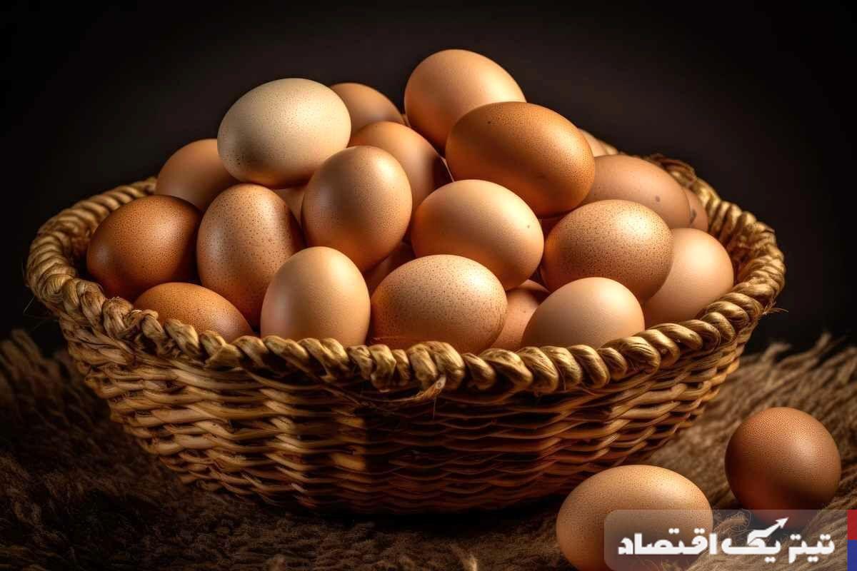 تغییر در بازار تخم مرغ: قیمتها چگونه به اوج رسیدند؟