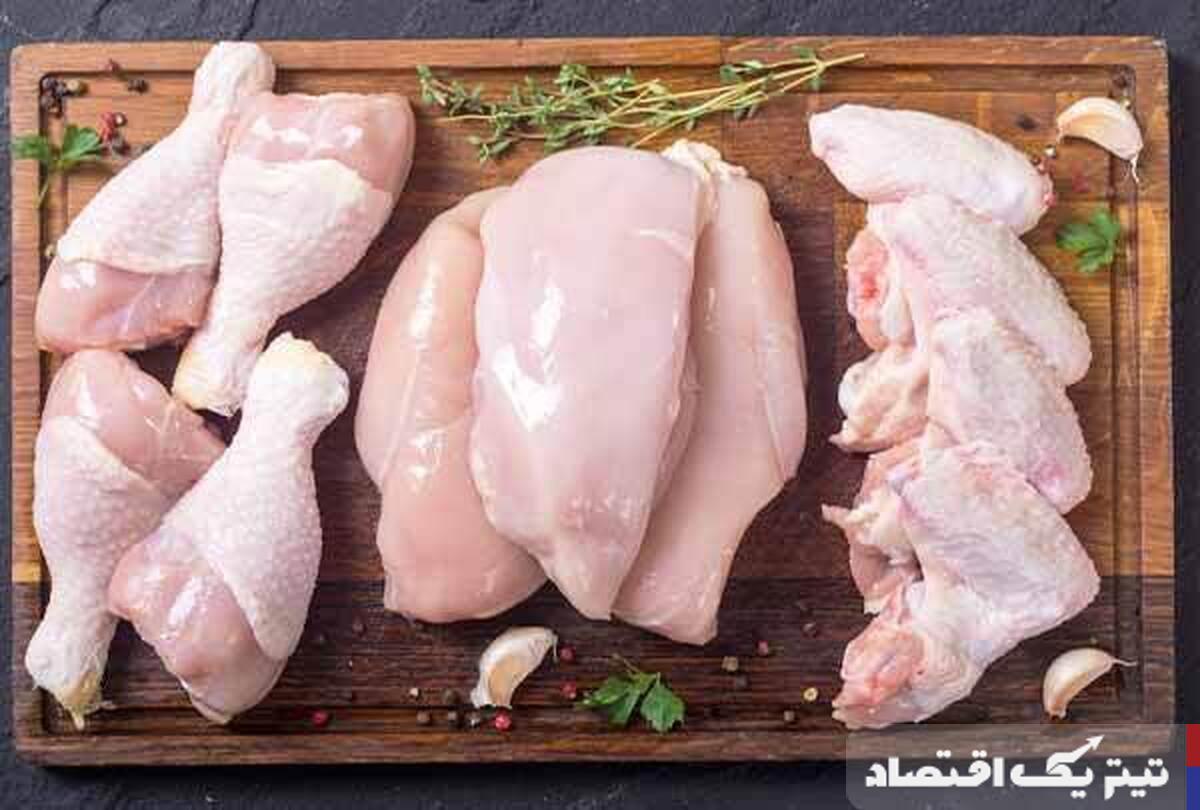 ثبات نسبی در بازار مرغ: نگاهی به قیمتها در مرداد ۱۴۰۴