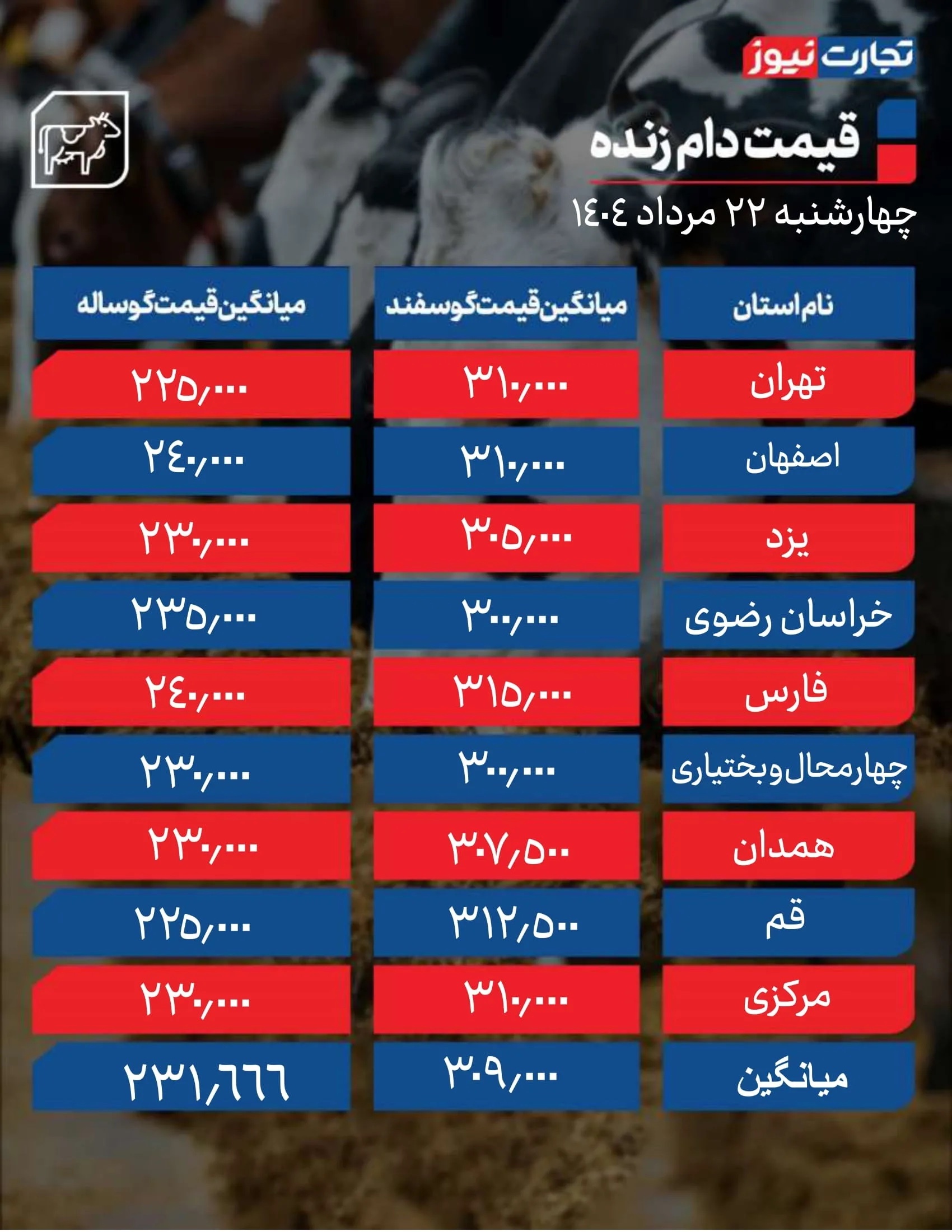 قیمت دام زنده امروز 22 مرداد 1404 / قیمت گوساله بالا رفت + جدول