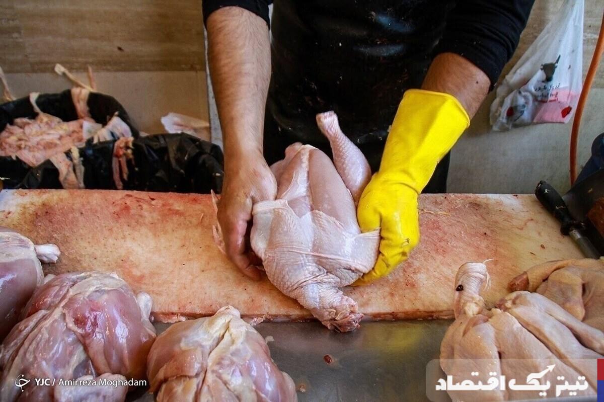 عرضه پایدار مرغ در اربعین: نگاهی به وضعیت بازار و آینده قیمتها