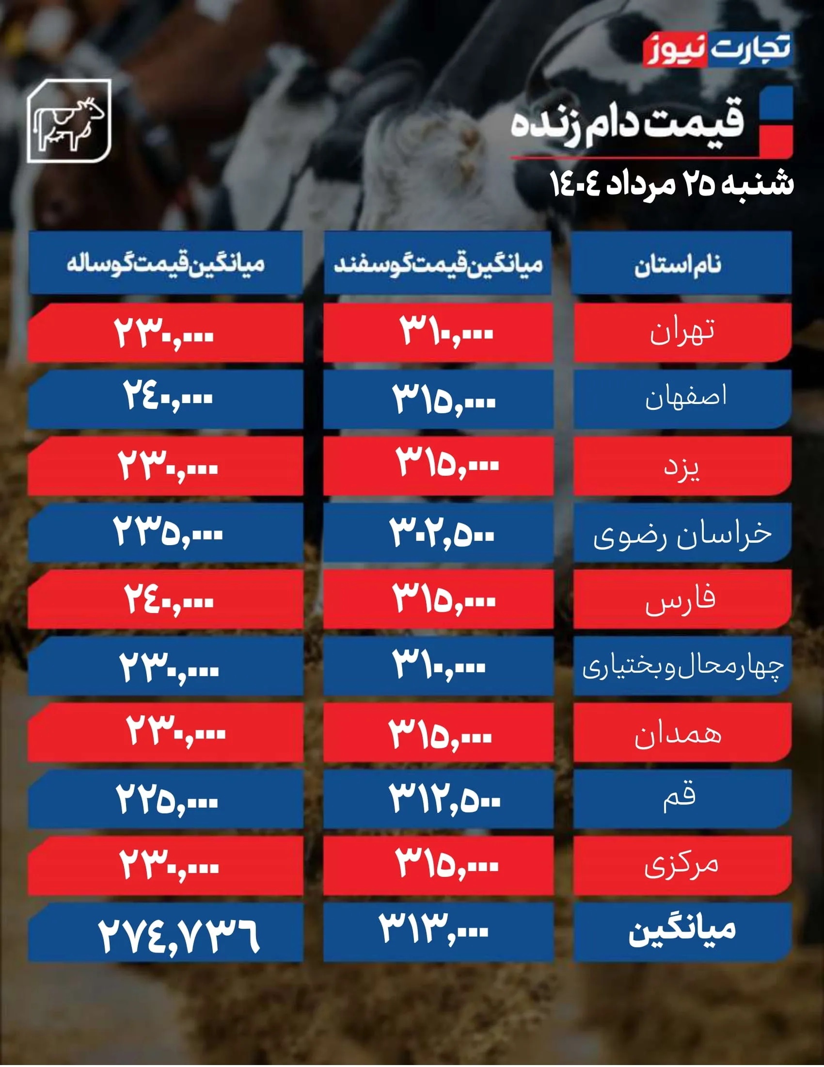 قیمت دام زنده امروز 25 مرداد 1404 + جدول