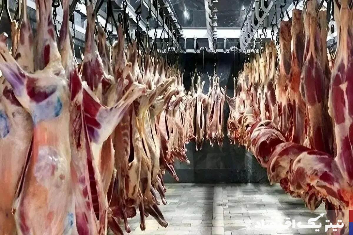 قیمتگذاری امروز: نگاهی به بازار گوشت گوسفند و گوساله در ۳ مرداد