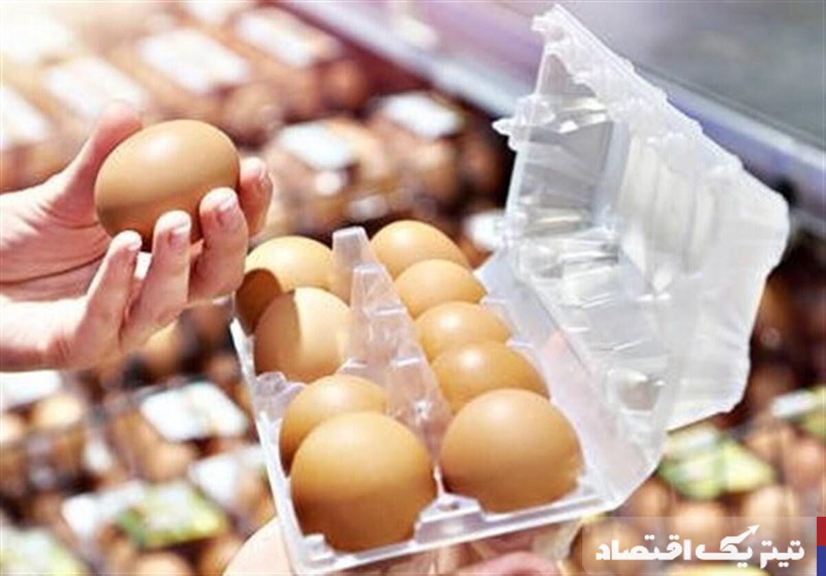 تخم مرغ با قیمت حمایتی: فرصت طلایی برای سفرههای ایرانی