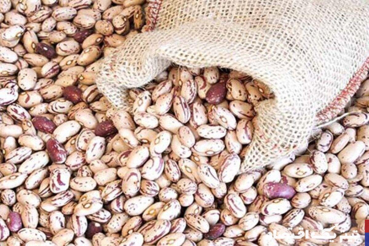 قیمتهای نجومی لوبیاچیتی: از کمبود محصول تا افزایش صادرات