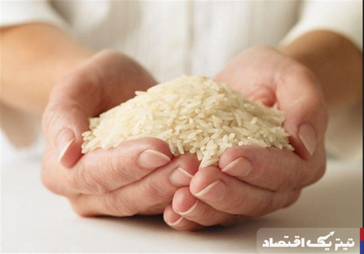 تحول در بازار برنج: کاهش بیسابقه قیمتها در آستانه شهریور