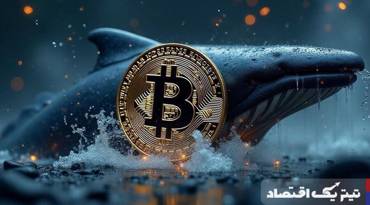 فعالیت نهنگ بیتکوین پس از ۱۳ سال / بیتکوین بخریم یا خیر؟