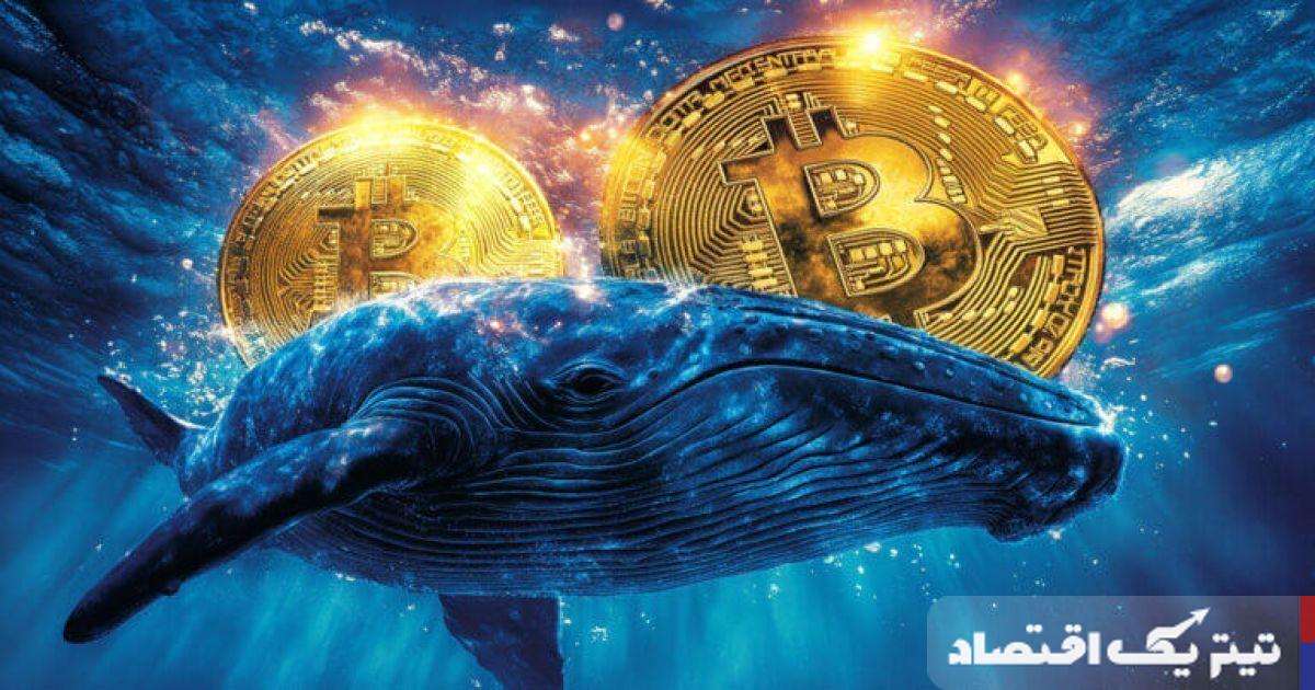 تغییر مسیر در دریا: نهنگها از بیت کوین به اتریوم و نشانههای افزایش تاریخی