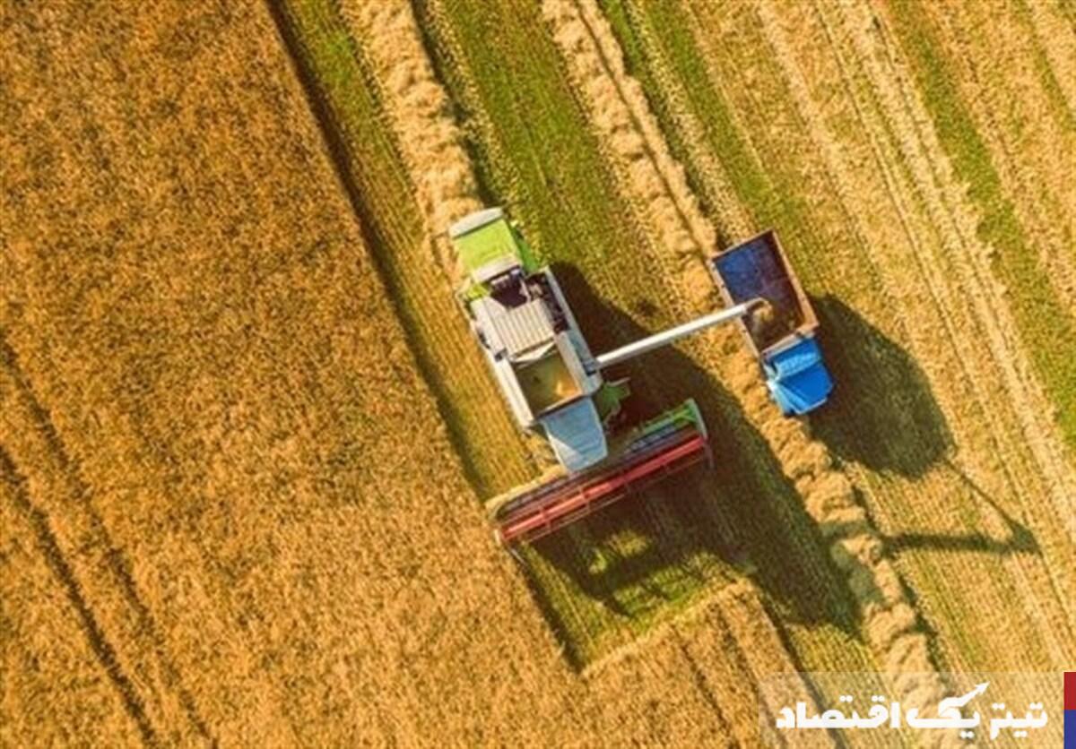 عدم توافق درباره نرخ خرید تضمینی گندم: دلایل و پیامدها