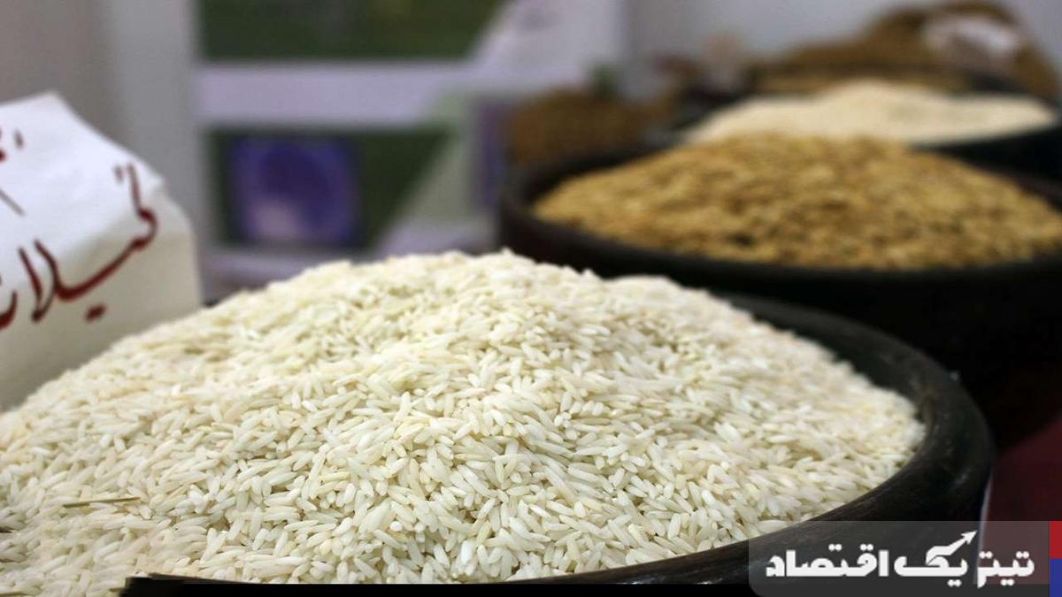 افزایش قیمت برنج شمال؛ عوامل موثر در نوسانات قیمت