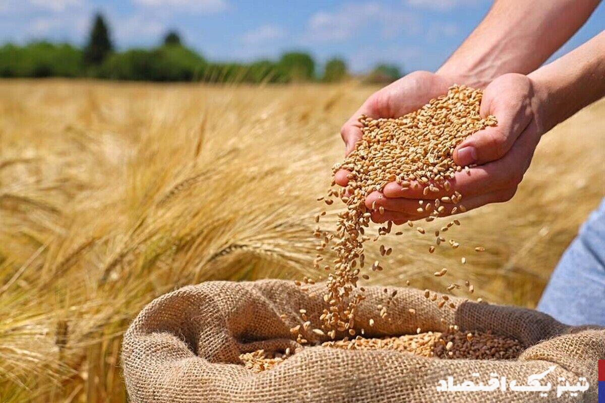 علل تأخیر در اعلام نرخ خرید تضمینی گندم