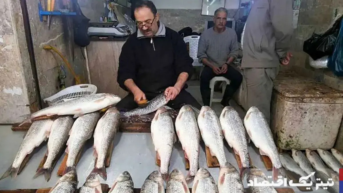 نرخ جدید ماهی در بازارهای میوه و تره بار شهرداری تهران