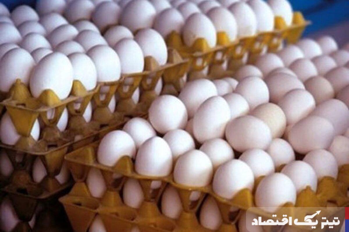 نقش و تأثیر کمبود نهاده دامی بر قیمت تخممرغ در بازار