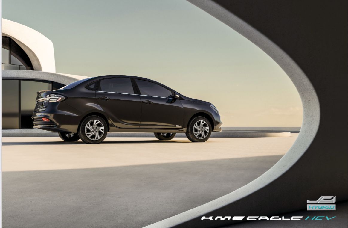 کیامسی ایگل هیبرید کیامسی ایگل هیبرید