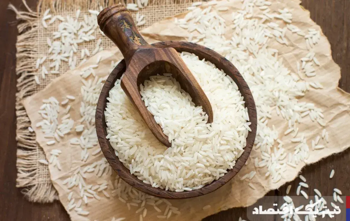 قیمت برنج هندی امروز ۳۰ تیر ۱۴۰۵؛ کیسه ۱۰ کیلویی تا ۲ میلیون و ۹۵۰ هزار تومان