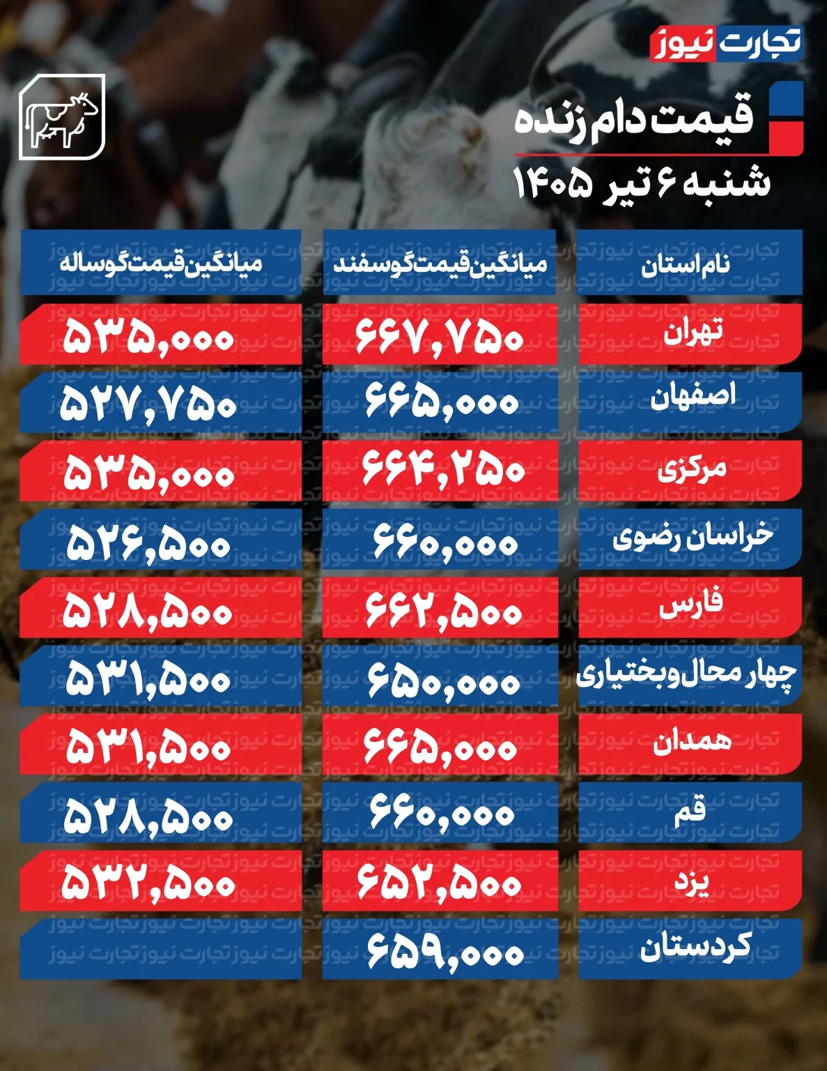 قیمت جدید دام زنده امروز ۶ تیر ۱۴۰۵ / قیمت گوسفند چند شد؟ + جدول