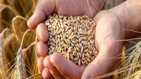 قیمت نان آزاد می‌شود؟ هشدار وزیر جهاد درباره شوک قیمتی / پیشنهاد انتقال یارانه به کالابرگ