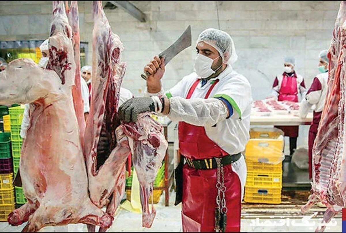 کاهش ۷۶ درصدی واردات گوشت قرمز و تأثیرات آن بر بازار
