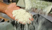 جهش ۲۵ درصدی قیمت برنج باسماتی هند؛ زنگ خطر گرانی برنج وارداتی در ایران به صدا درآمد؟