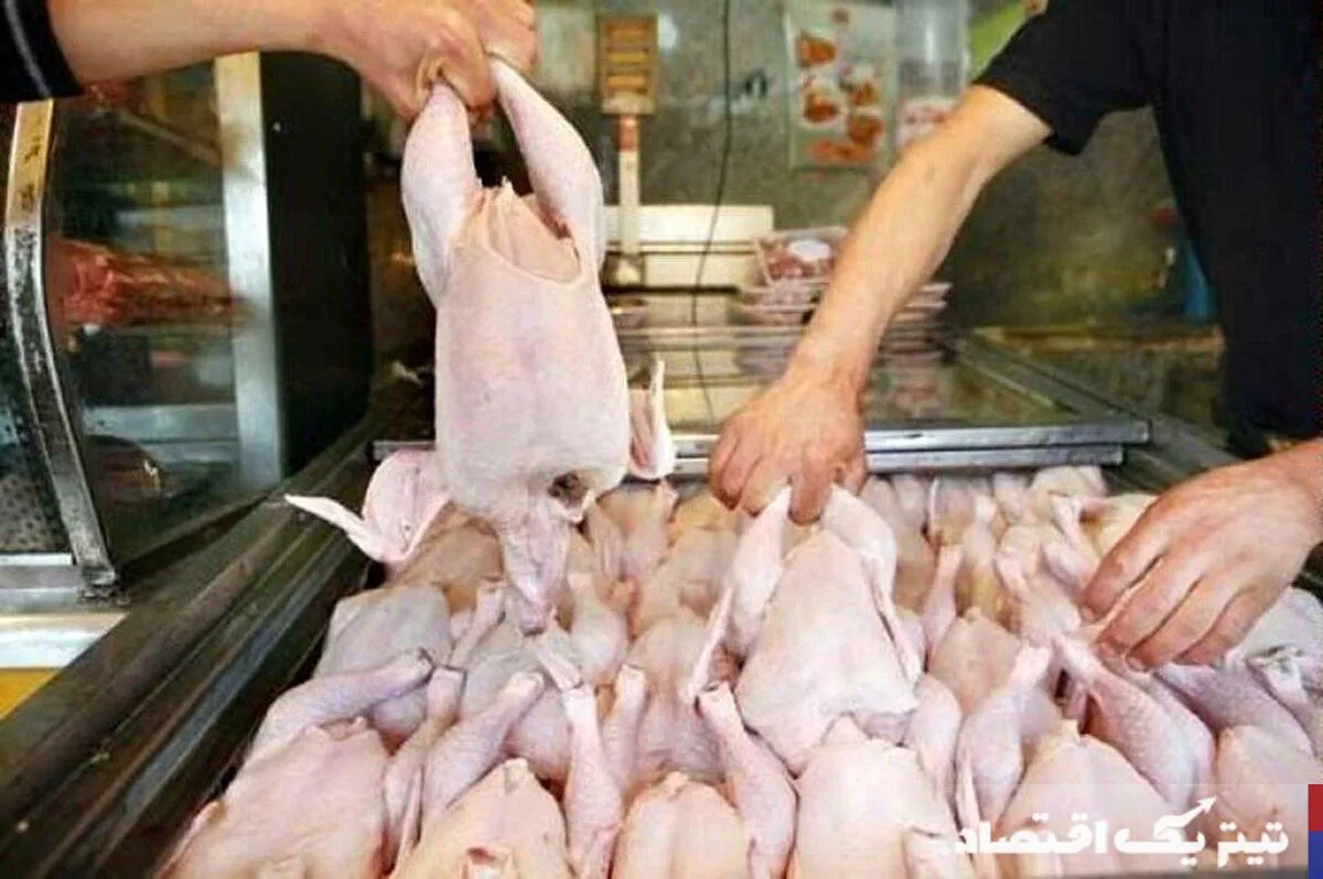 قیمتهای جدید مرغ؛ سناریوهای ممکن برای آینده قیمتهای جدید مرغ؛ سناریوهای ممکن برای آینده