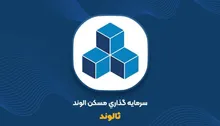 ثالوند زیر ذره‌بین ناظر؛ چه اتفاقی در معاملات سهم افتاده است؟