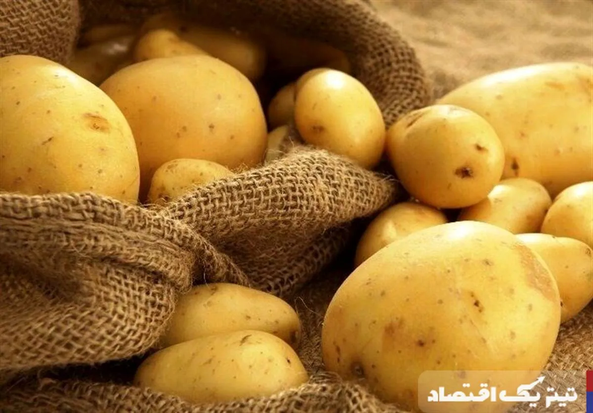 قیمت واقعی سیبزمینی اعلام شد قیمت واقعی سیبزمینی اعلام شد