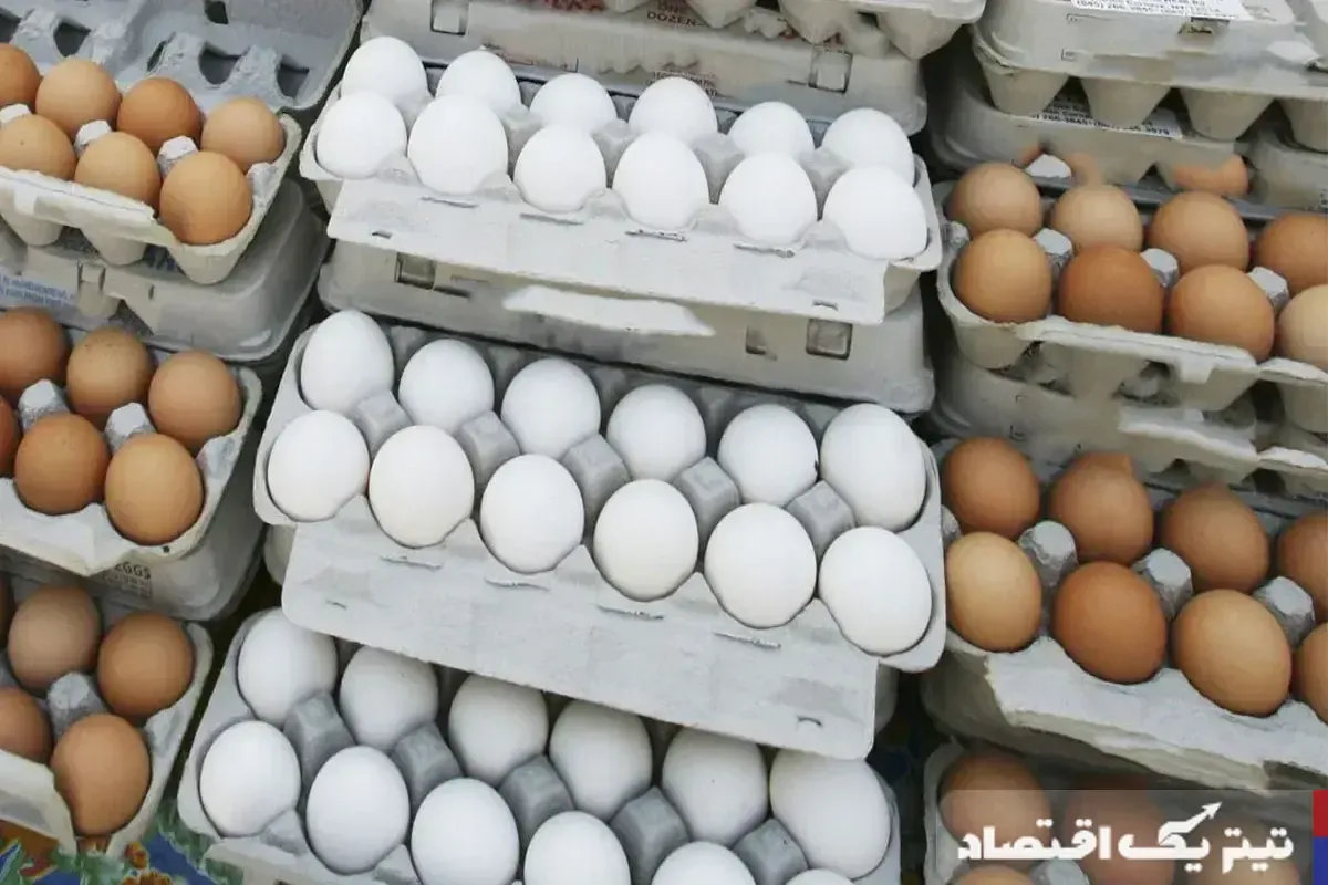 روند تغییرات قیمت تخممرغ در سایه افزایش قیمت گوشت: تحلیل و بررسی روند تغییرات قیمت تخممرغ در سایه افزایش قیمت گوشت: تحلیل و بررسی