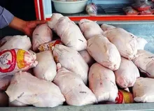 قیمت مرغ امروز ۲۳ شهریور ۱۴۰۵؛ مرغداران کیلویی ۶۰ هزار تومان ضرر می‌کنند / دولت ۲۰ هزار تن مرغ مازاد می‌خرد