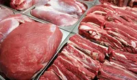 پیش‌ بینی قیمت گوشت در پاییز ۱۴۰۵؛ دام فراوان شد اما گوشت ارزان می‌شود؟