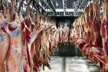 کسری ۱۵۰ هزار تنی گوشت قرمز؛ هر کیلو گوشت وارداتی چند دلار برای ایران تمام می‌شود؟
