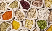 قیمت حبوبات امروز ۱۶ مرداد ۱۴۰۵؛ لوبیا چیتی کیلویی ۵۸۰ هزار تومان، ارزانی در راه است؟