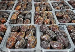 ۴۰ درصد خرما روی دست تولیدکنندگان ماند؛ چرا قیمت برای مردم چند برابر می‌شود؟