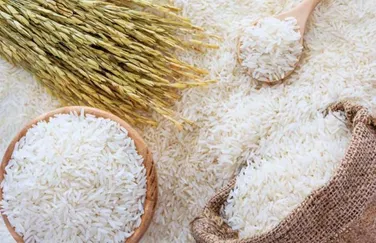 برنج ایرانی ۶ میلیون تومانی شد؛ ارزان‌ترین کیسه ۱۰ کیلویی بازار کدام است؟